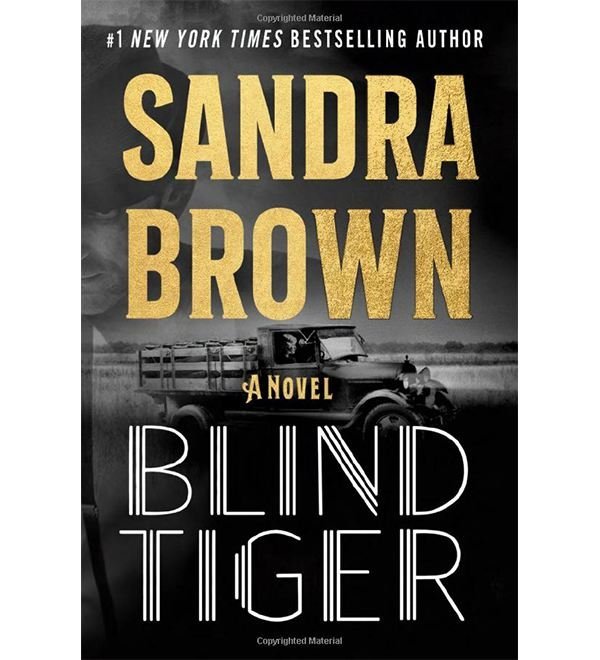 Antibes dining chair - Imagem 2